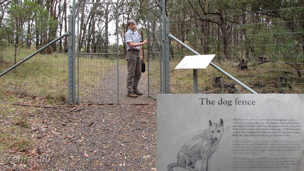 18-Heidi walks through the Dog Fence to view the Wollomombi Falls.jpg